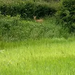 Coeur Et Nature Colembert