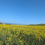 Coeur Et Nature