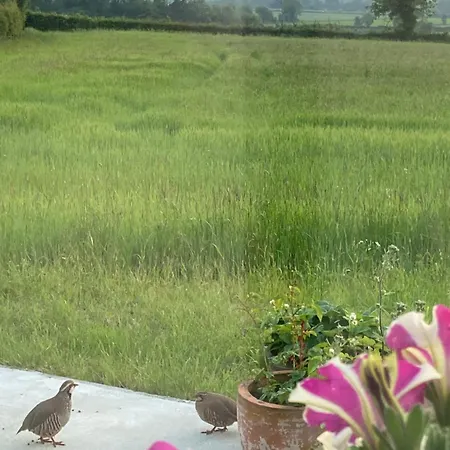 Oda ve Kahvaltı Coeur Et Nature