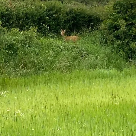 Coeur Et Nature Colembert