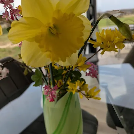 Coeur Et Nature 3* Colembert