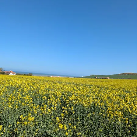 Coeur Et Nature