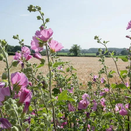 Coeur Et Nature B&B 3*