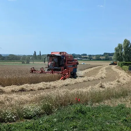 Coeur Et Nature Oda ve Kahvaltı